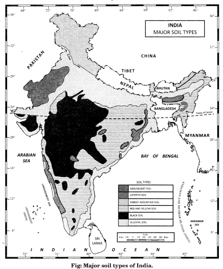 Class 11 Geography NCERT Solutions Chapter 6 Soils Map Skills Q1