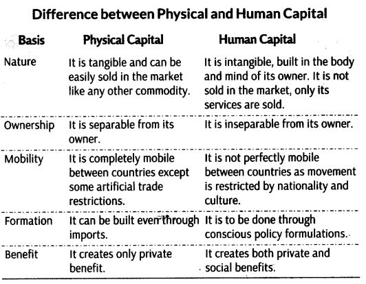 Human Capital Formation in India Class 11 Notes Chapter 6 Indian Economic Development 1