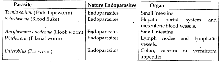 NCERT Solutions For Class 11 Biology Animal Kingdom