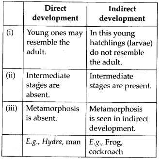 NCERT Solutions For Class 11 Biology Animal Kingdom Q5