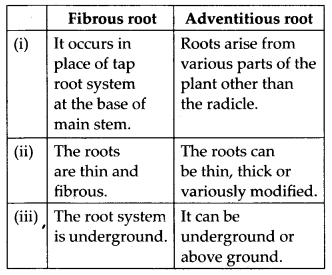 NCERT Solutions For Class 11 Biology Morphology of Flowering Plants Q6.1