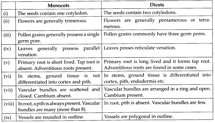 NCERT Solutions For Class 11 Biology Plant Kingdom Q10