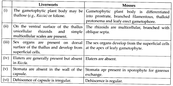 NCERT Solutions For Class 11 Biology Plant Kingdom Q9.2