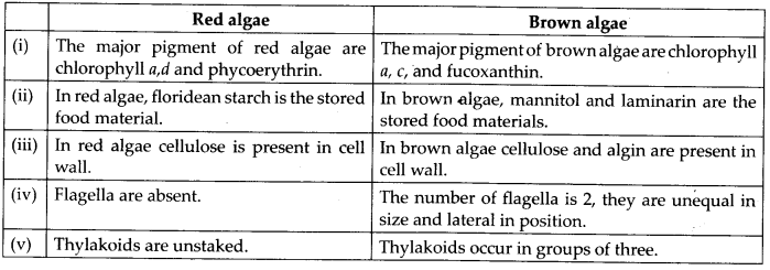 NCERT Solutions For Class 11 Biology Plant Kingdom Q9