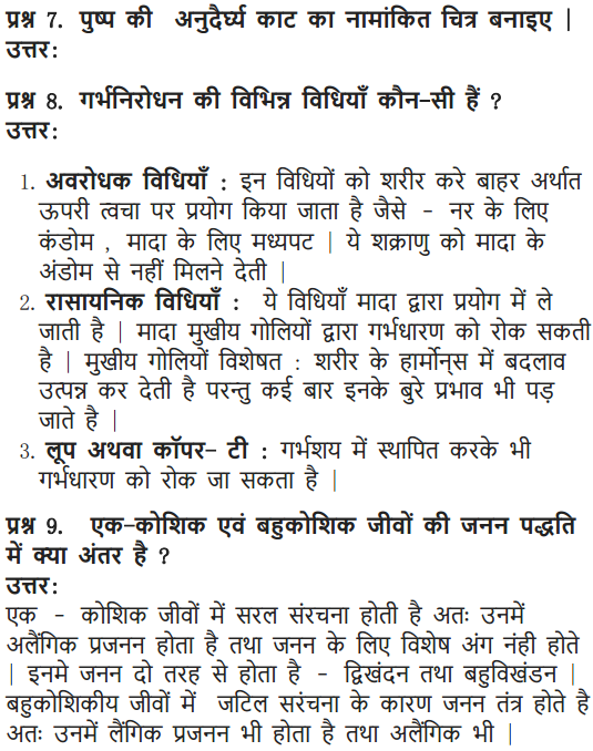 NCERT Solutions for Class 10 Science Chapter 8 How do Organisms Reproduce Hindi Medium 13