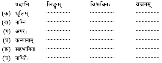 NCERT Solutions for Class 8 Sanskrit Chapter 11 सावित्री बाई फुले Q7