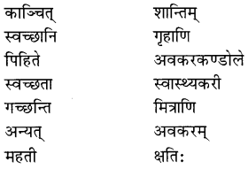 NCERT Solutions for Class 8 Sanskrit Chapter 12 कः रक्षति कः रक्षितः Q5.1