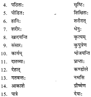 NCERT Solutions for Class 8 Sanskrit Chapter 12 कः रक्षति कः रक्षितः Q6.1