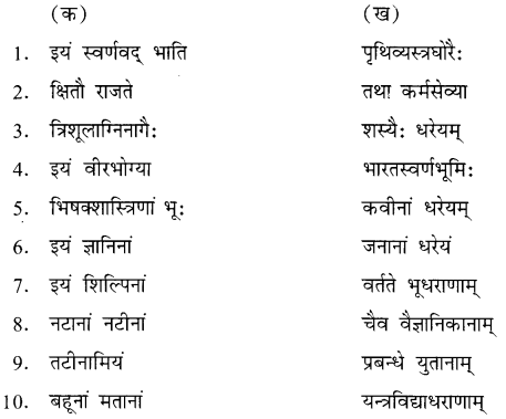 NCERT Solutions for Class 8 Sanskrit Chapter 13 क्षितौ राजते भारतस्वर्णभूमिः Q5.1