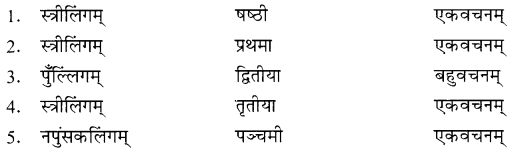 NCERT Solutions for Class 8 Sanskrit Chapter 14 आर्यभटः Q4.2