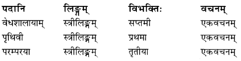NCERT Solutions for Class 8 Sanskrit Chapter 14 आर्यभटः Q6.1