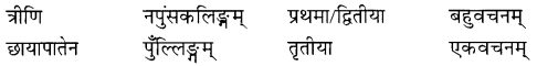 NCERT Solutions for Class 8 Sanskrit Chapter 14 आर्यभटः Q6.2