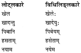 NCERT Solutions for Class 8 Sanskrit Chapter 4 सदैव पुरतो निधेहि चरणम् Q8.1