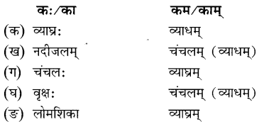 NCERT Solutions for Class 8 Sanskrit Chapter 5 कण्टकेनैव कण्टकम् Q3.1