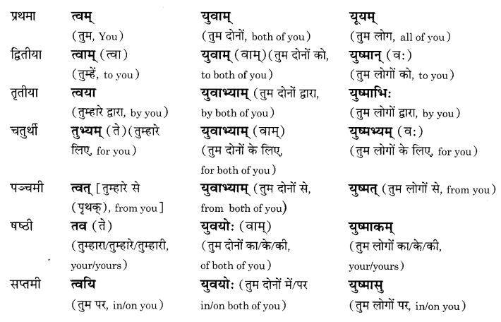 NCERT Solutions for Class 8 Sanskrit Chapter 5 Sarnampadani Tatha Sankhyavachkani 11
