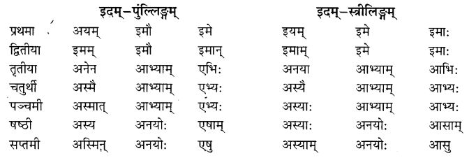 NCERT Solutions for Class 8 Sanskrit Chapter 5 Sarnampadani Tatha Sankhyavachkani 12