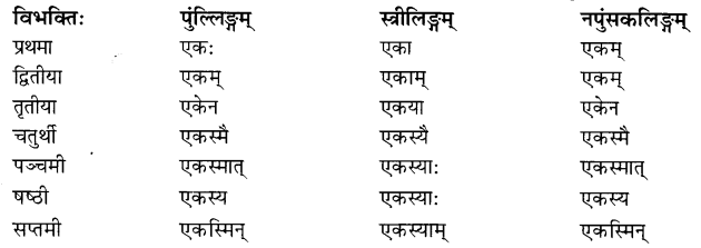 NCERT Solutions for Class 8 Sanskrit Chapter 5 Sarnampadani Tatha Sankhyavachkani 14