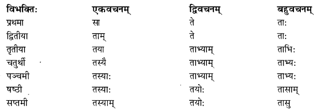 NCERT Solutions for Class 8 Sanskrit Chapter 5 Sarnampadani Tatha Sankhyavachkani 4