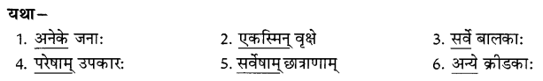 NCERT Solutions for Class 8 Sanskrit Chapter 5 Sarnampadani Tatha Sankhyavachkani 6