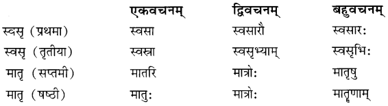 NCERT Solutions for Class 8 Sanskrit Chapter 5 कण्टकेनैव कण्टकम् Q7.1