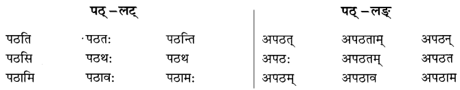 NCERT Solutions for Class 8 Sanskrit Chapter 6 क्रियापदानि तथा धातुरुपाणि 1