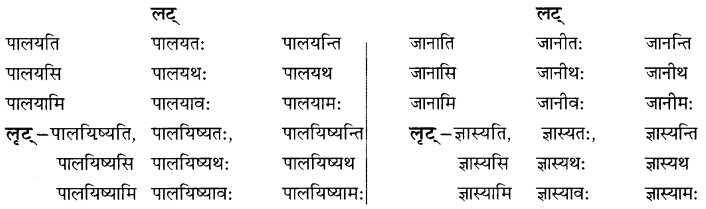 NCERT Solutions for Class 8 Sanskrit Chapter 6 क्रियापदानि तथा धातुरुपाणि 12