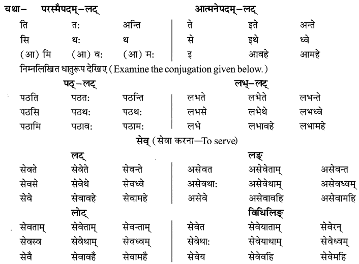 NCERT Solutions for Class 8 Sanskrit Chapter 6 क्रियापदानि तथा धातुरुपाणि 13