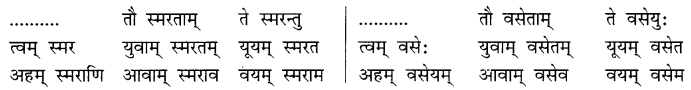 NCERT Solutions for Class 8 Sanskrit Chapter 6 क्रियापदानि तथा धातुरुपाणि 17