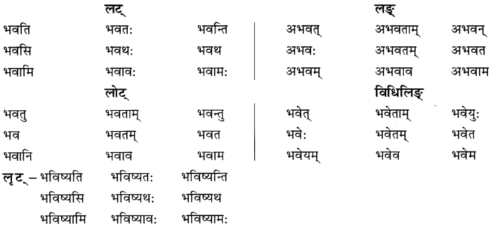 NCERT Solutions for Class 8 Sanskrit Chapter 6 क्रियापदानि तथा धातुरुपाणि 4