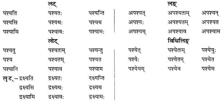 NCERT Solutions for Class 8 Sanskrit Chapter 6 क्रियापदानि तथा धातुरुपाणि 5