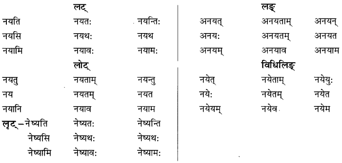 NCERT Solutions for Class 8 Sanskrit Chapter 6 क्रियापदानि तथा धातुरुपाणि 8