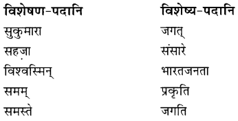 NCERT Solutions for Class 8 Sanskrit Chapter 7 भारतजनताऽहम् Q5