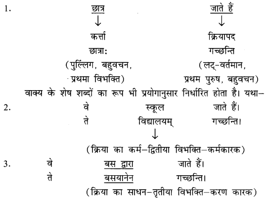 NCERT Solutions for Class 8 Sanskrit Chapter 8 अनुवादः 1