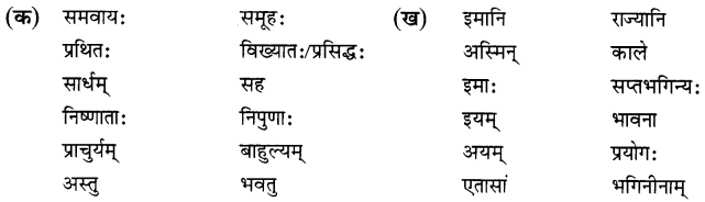 NCERT Solutions for Class 8 Sanskrit Chapter 9 सप्तभगिन्यः Q2.1