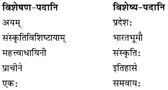 NCERT Solutions for Class 8 Sanskrit Chapter 9 सप्तभगिन्यः Q7.1