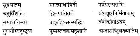 NCERT Solutions for Class 8 Sanskrit Chapter 9 सप्तभगिन्यः Q1