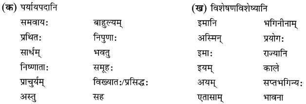 NCERT Solutions for Class 8 Sanskrit Chapter 9 सप्तभगिन्यः Q2