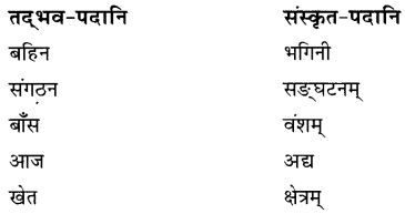 NCERT Solutions for Class 8 Sanskrit Chapter 9 सप्तभगिन्यः Q6.1