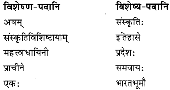 NCERT Solutions for Class 8 Sanskrit Chapter 9 सप्तभगिन्यः Q7