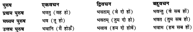 CBSE Class 11 Sanskrit धातुरूपाणि 23