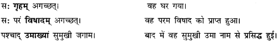 CBSE Class 11 Sanskrit कारक-उपपद विभक्तीनां प्रयोगाः 5