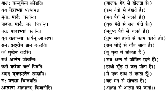CBSE Class 11 Sanskrit कारक-उपपद विभक्तीनां प्रयोगाः 8