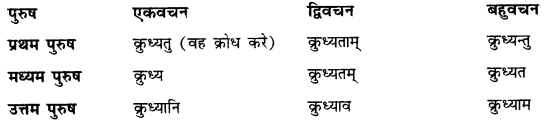 CBSE Class 11 Sanskrit धातुरूपाणि 101