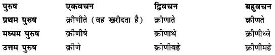 CBSE Class 11 Sanskrit धातुरूपाणि 128