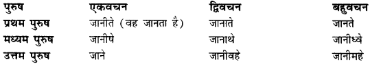 CBSE Class 11 Sanskrit धातुरूपाणि 132
