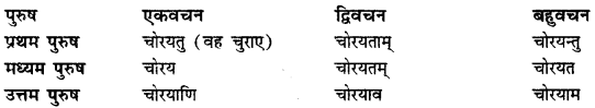 CBSE Class 11 Sanskrit धातुरूपाणि 143