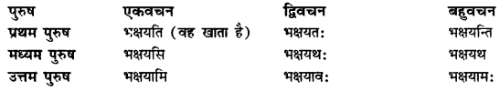 CBSE Class 11 Sanskrit धातुरूपाणि 145