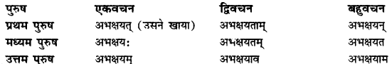 CBSE Class 11 Sanskrit धातुरूपाणि 146