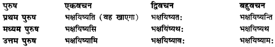 CBSE Class 11 Sanskrit धातुरूपाणि 147