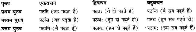 CBSE Class 11 Sanskrit धातुरूपाणि 15